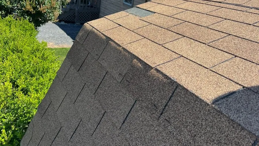 Roofing Services Roofing Services